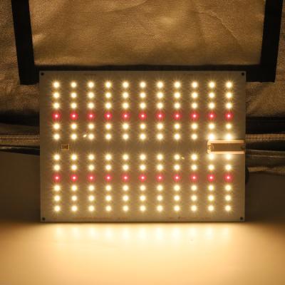 China Seed Starting King Brite Kingbrite 65w Samsung lm301h/lm301b with Epistar 660nm kingbright led grow light for sale