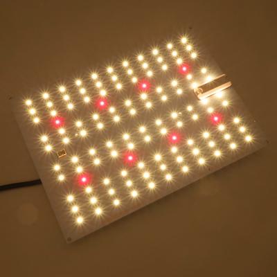 China Seed starting kingbright Free-assembled 65W KB132 LM301H with CREE XPE2 660nm KING BRITE led grow board light for sale