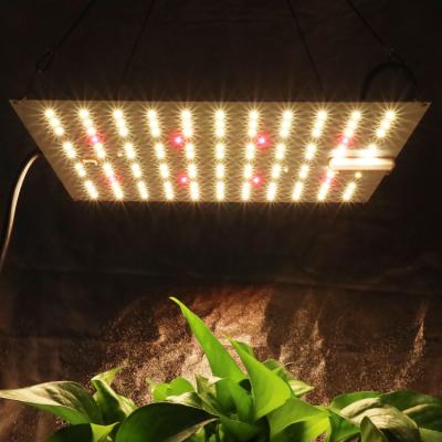 China Seed Starting Kingbrite Led 65W KB132 Samsung LM301H + CREE XP-E2 660NM Grow Light For Indoor Plants for sale