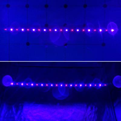 China Seed Starting KingBrite KB20 30W Cree LED Light Up Kit, Cree XP-E2 (660nm+730nm) /Cree XP-E2 730nm+LG 395nm UV Grow Booster Strip (whole kit) for sale