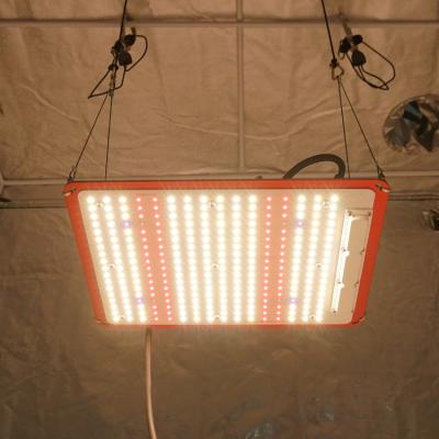 China Seed Starting King BRITE 120W High PPFD Led Grow Light Mix 660nm Red IR UV VEG qb288 3500k lm301h V3 Grow Lights for sale