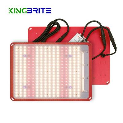 China Seed Starting KingBrite Led To Grow Light Mix 120W Samsung LM301H Panel 3000K/3500K Epistar 660nm IR UV Led To Grow Light for sale