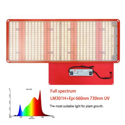 China Seed starting KingBrite 240w lm301h KB288 V4 with 660nm epistar IR UV led to raise finish light quantum, replace for spider SF2000 for sale