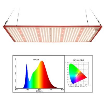 China Seed Starting KingBrite KingBright KingBright Led 240W Waterproof IP67 LM301H CREE XP-E2 660NM V4 Full Spectrum Led Grow Lights for sale