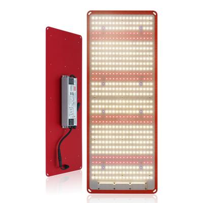 China KingBrite PPF 240W LM301H+ Cree XPG3 660nm Kingbright High Full Spectrum Seed Starting LED Grow Light for sale