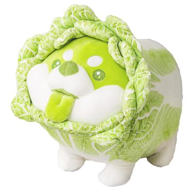 China Creative Cute Simulation Toys And Elf's Funny Plant Plush Toy Simulation Cabbage Dog Can Be Customized for sale