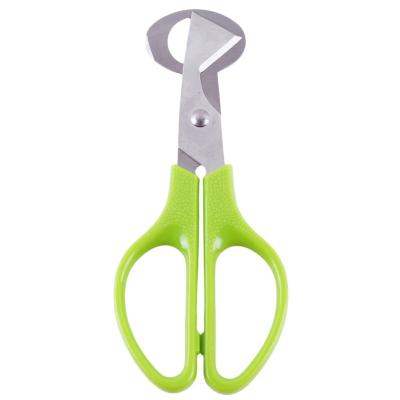 China Stainless Steel Mini Egg Cutter Opener Kitchen Scissors Quail Egg Scissors Kitchen Accessories for sale