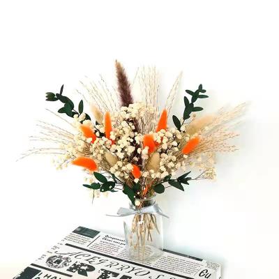 China Wedding Hot Sale DIY Decoration Colorful Amazon Dried Pampas Grass Bouquet With Different Quantity For Wedding Party Home Decoration for sale