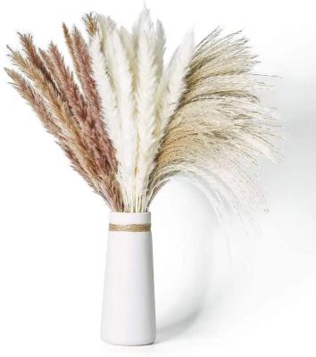 China Indor Decoration Wedding Decorative Decorations Flowers Natural Dry Pampas Grass For Sale for sale