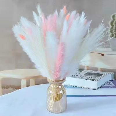 China Decoration Wedding Home Decoration Wholesale Dried Flower Bouquet Amazon Kitchen Boho Wedding Arrangements Hot Selling Home Decoration for sale