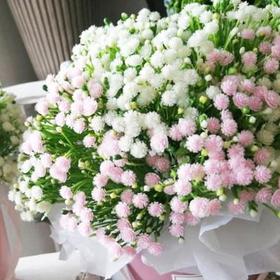 China Wedding Breath of the Beautiful Amazon Gypsophila Celebration Baby Bulk Artificial Flowers For Wedding Decoration for sale