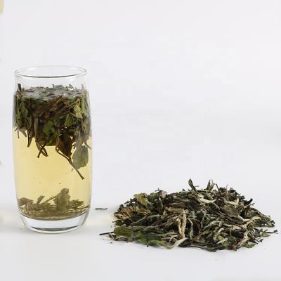 China Yue Guang Bai Premium Chinese Tea Loose Leaf Tea Yunnan White Tea for sale