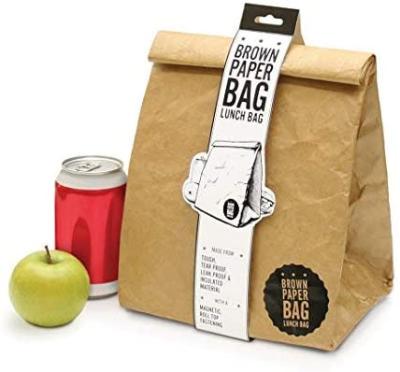 China Brown Tyvek Lunch Bag Heavy Duty Custom Paper Lunch Bag Reusable Waterproof Dupont Tyvek Food Bag for sale