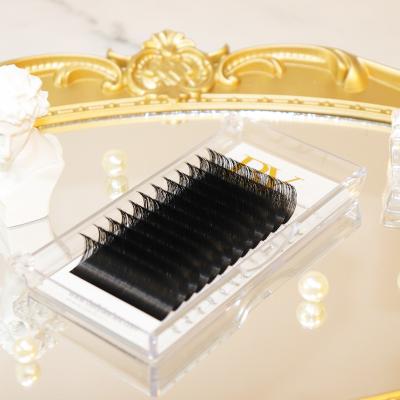 China Natural Soft Ballylashes 0.03 -0.08MM Professional Salon Eyelash Extension Volume Lashes Private Labels for sale