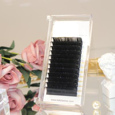 China Delicate Ballylashes Wholesale Classic Lashes Lashes Extensions Length Private Label False Eyelashes For Private Customize for sale