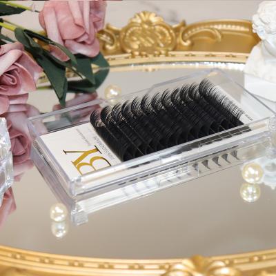 China Wholesale Custom Natural Soft Dense Row False Hair Extensions Ballylash Factory Classic Hair Extension Tray Volume Wick for sale