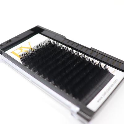 China Ballylashes Natural Wholesale Long Volume High Quality Classic Individual Lash Extensions Eyelash Extension Easy To Graft Classic Strands for sale