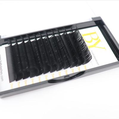 China Long strands Matte Flat natural ballylash whips own brand eyelashes for sale