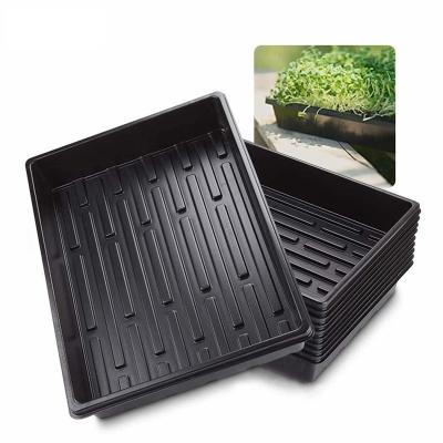 China Propagating Seed Shelf Nursery Planters Sowing Black Color Plastic Outdoor Feature Garden Germination Plant Trays Plant Eco Material Origin for sale