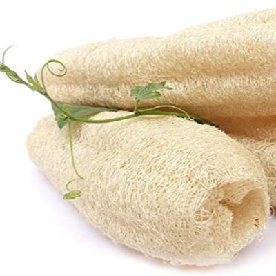 China Natural loofah pulp exfoliating body back rub, pour loofah pulp for sale