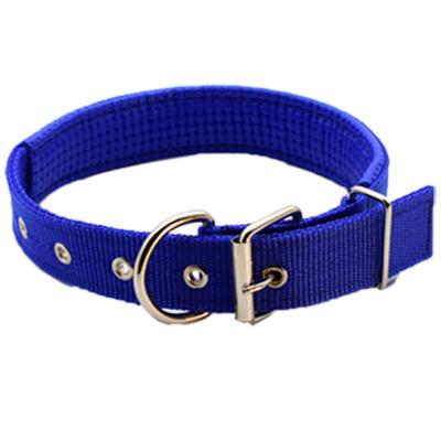 China Small and medium pet foam collar dog single dog collar hole collar viable popular for sale