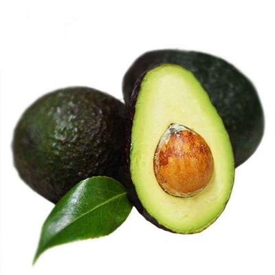 China Instant Avocado Fresh Fruit Instant Powder for sale