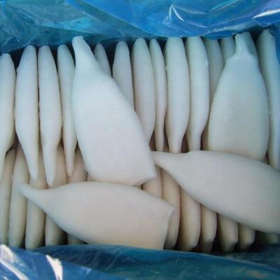 China NATURE Todarodes Pacificus Squid Frozen Tube for sale