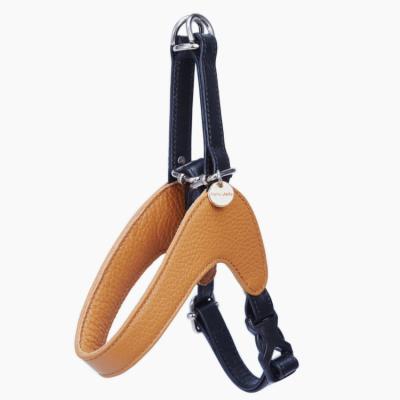 China 2022 Lights European And American Leather Dog Straps Style Adjustable Pet Bra Pet Leash Can Be Customized for sale