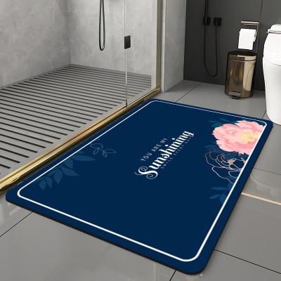 China Customization Color Printing Diatomite Viable Bath Mat Cushion Bathroom Mat 600*390mm for sale