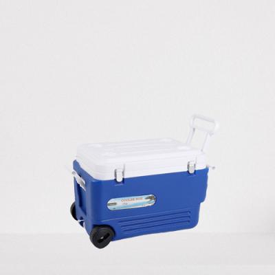 China Cooler Box Household Size Cooler Ice Bucket Storage Box Car Cooler Takeout Gerator Portable Outdoor Fishing Cooler Box for sale