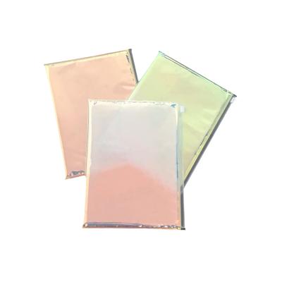 China Water Make Resistant Degradable High Quality Silver Bubble Pack Zipper Bubble Mailer Customized for sale