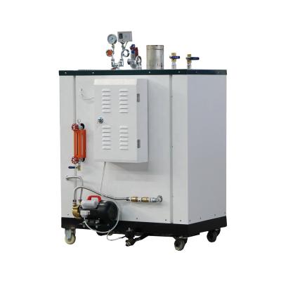 China VERTICAL Gas Power 50Kg/H Steam Boiler For Fertilizer Plant for sale