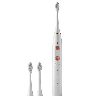 China Dupont 2 Pack Sonic Electric Toothbrush 6 Modes 42000vpm Soft Nylon Rechargeable Toothbrush with 2 Built-in Timer 8 Minute Brush Heads for sale