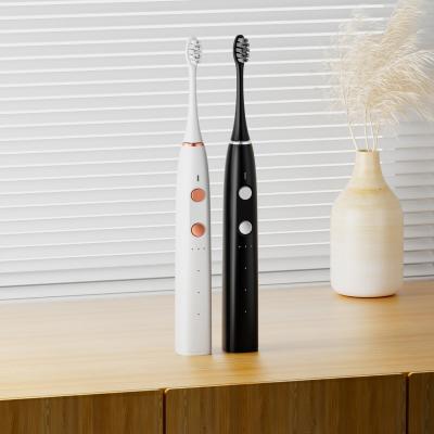 China 5 Modes Upgraded Sonic Adult Electric Toothbrush Set Electric Toothbrush For Kids Rechargeable 2000mAh Soft Electric Toothbrush for sale