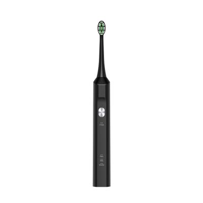 China Teeth Cleaning Sonic Electric Toothbrush 31000 Inductive Filling Fast Charging Vibrating For Adult Electric Toothbrush for sale