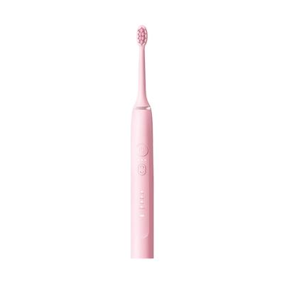 China Electric Toothbrush Adult Whitening Waterproof USB Induction 600mAh Charging Ultra Long Standby Toothbrush for sale