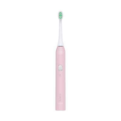 China Teeth Cleaning Whole New 2022 Sale Customized Best Usb Smart Portable Waterproof Rechargeable Sonic Toothbrush for sale