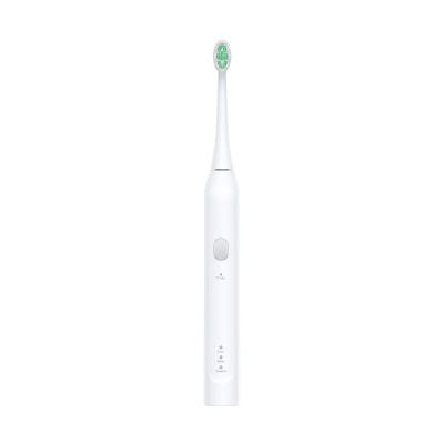 China Teeth Cleaning OEM Wholesale Quality 2022 Adult Intelligent Automatic Whitening Rechargeable Electric Toothbrush Customized for sale