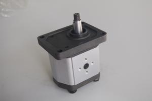 China Industrial Small Rexroth Hydraulic Gear Pumps 2B0 with M6 Thread Depth 13 for sale