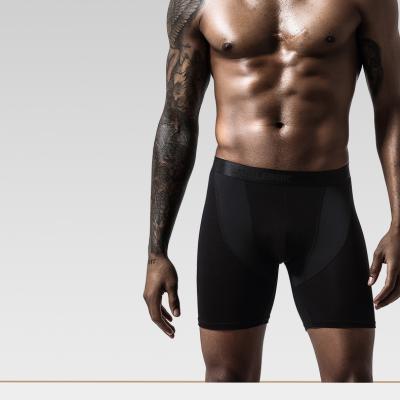 China Custom Logo Antibacterial And Mesh Modal Sport Underwear Wholesale Quick Dry To Lengthen Boxer For Men Underwear Men for sale