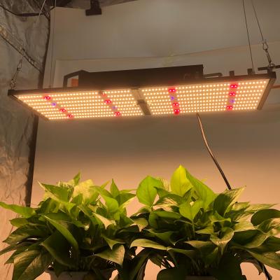 China Dimming Panel Qb288 IR Control HonLIGHT 240w Lm301h Lm301b 660nm 240 Far Red Grow Light 300W Spectrum for sale