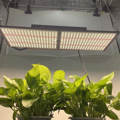 China Indoor Factory High Dimming Control HonLIGHT Ppfd Full Spectrum To Grow Light Lm301B 240W Boards for sale