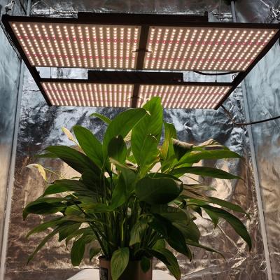 China Dimming Control 4X4 Grow Light Led 2021 Dimmable 480W Lm301B Indoor Led Grow Lights for sale