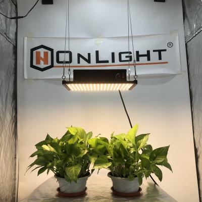 China Seed Starting High Quality Led Grow Light Manufacturer From HonLIGHT Hydroponics for sale