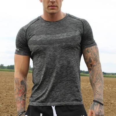 China Custom Slim Fit Anti-Wrinkle T Shirt In Gray Color Men Gym T Shirt For Fitness Wear for sale