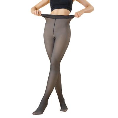 China Dobby Winter Warm Leggings Sexy Slim Translucent Pantyhose Tights High Waist Elastic Thick Wool Sock Pants Women Thermal Legging for sale