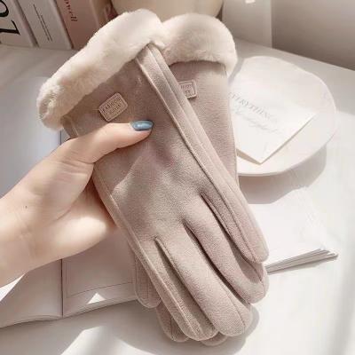 China Winter Women's Touchscreen Phone Dralon Fleece Windproof Gloves Winter Warm Wear Driving Running Outdoor Gloves for sale