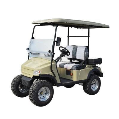 China New Model Metal+Plastic Raysince Golf Cart 2 Seats Electric Golf Cart for sale