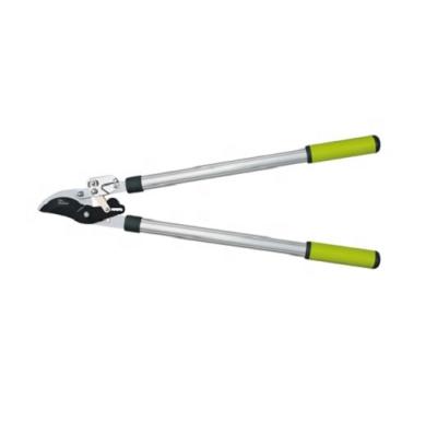 China Anti-Slip Handle 77cm Ratchet Bypass Lopper (PC-3110QY) for sale