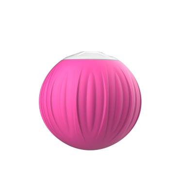 China Release Ball 4-Speed ​​Fitness Yoga Massage Roller Handheld High Intensity Myofascial Vibration Adjustment Massager for sale